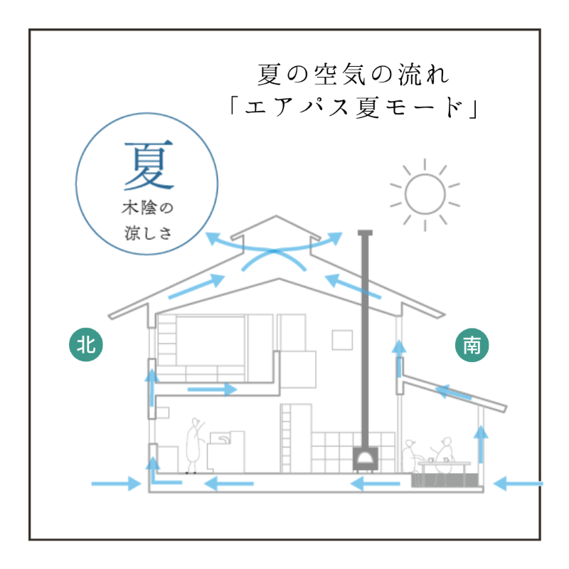 エアパス夏